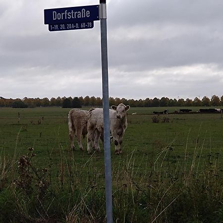 Moderne Barrierefreie Wohnung Auf Dem Land Bei Neuruppin Lichtenberg  Kültér fotó